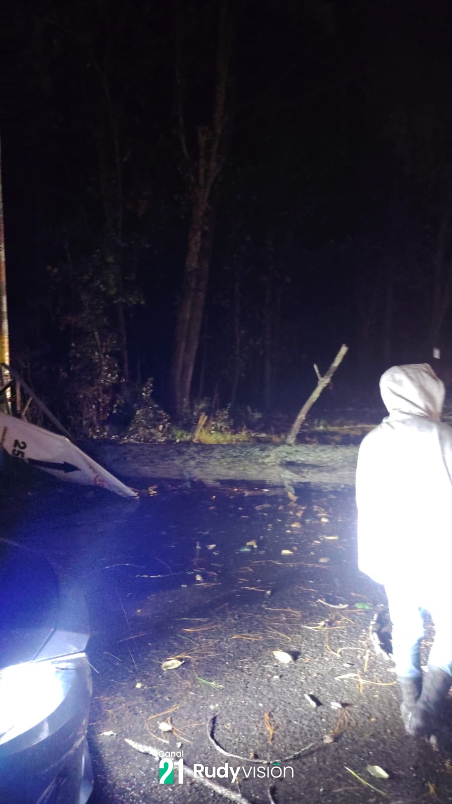 ÁRBOL CAE SOBRE LA CARRETERA Y BLOQUEA AMBAS VÍAS EN SAN PEDRO JOCOPILAS