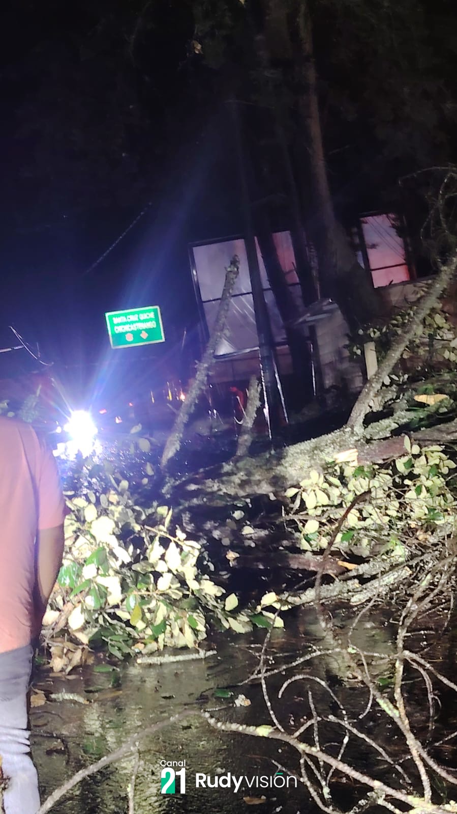ÁRBOL CAE SOBRE LA CARRETERA Y BLOQUEA AMBAS VÍAS EN SAN PEDRO JOCOPILAS